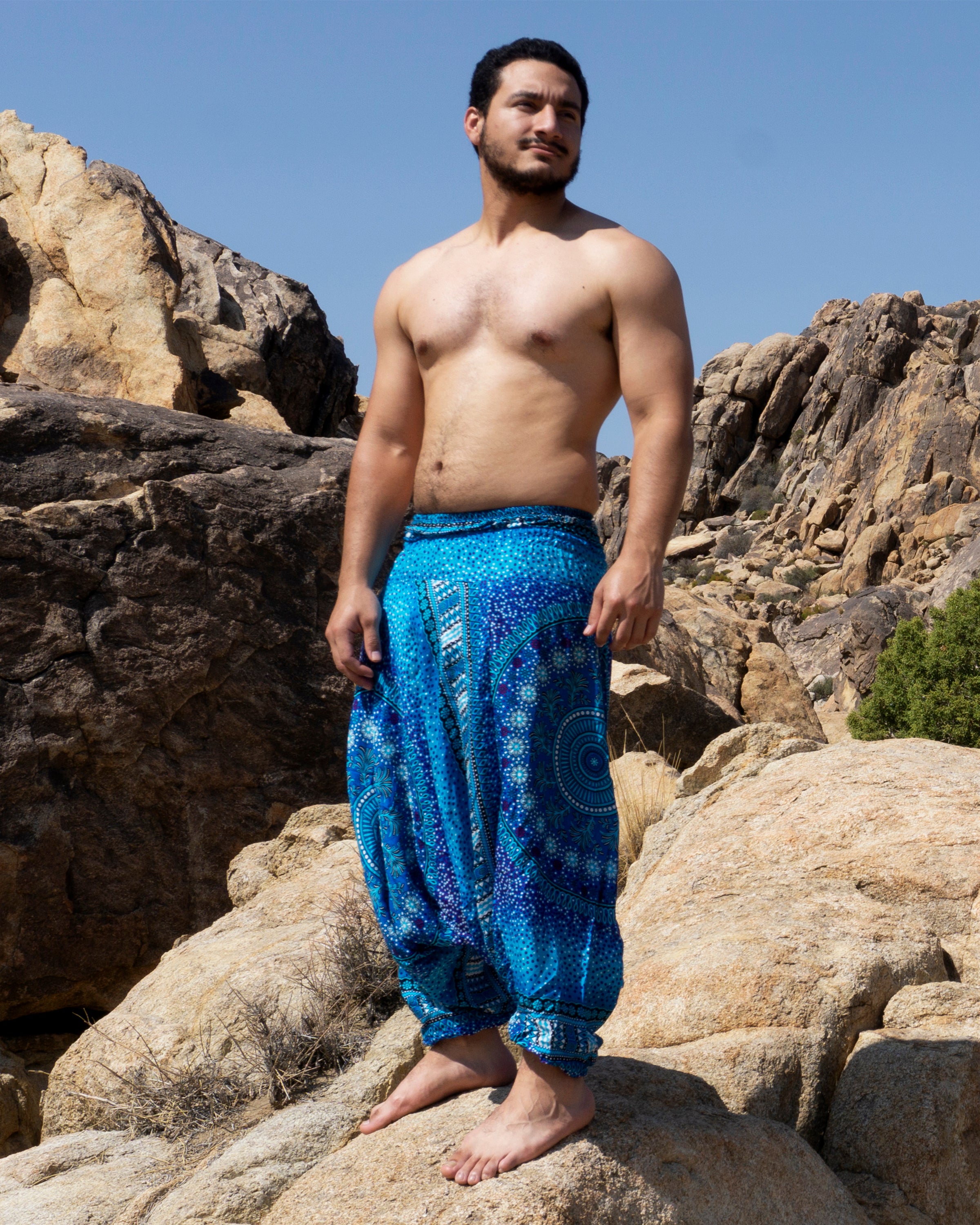 Plus Size Tribal Chakras Drop Crotch Men's Harem Pants in Blue