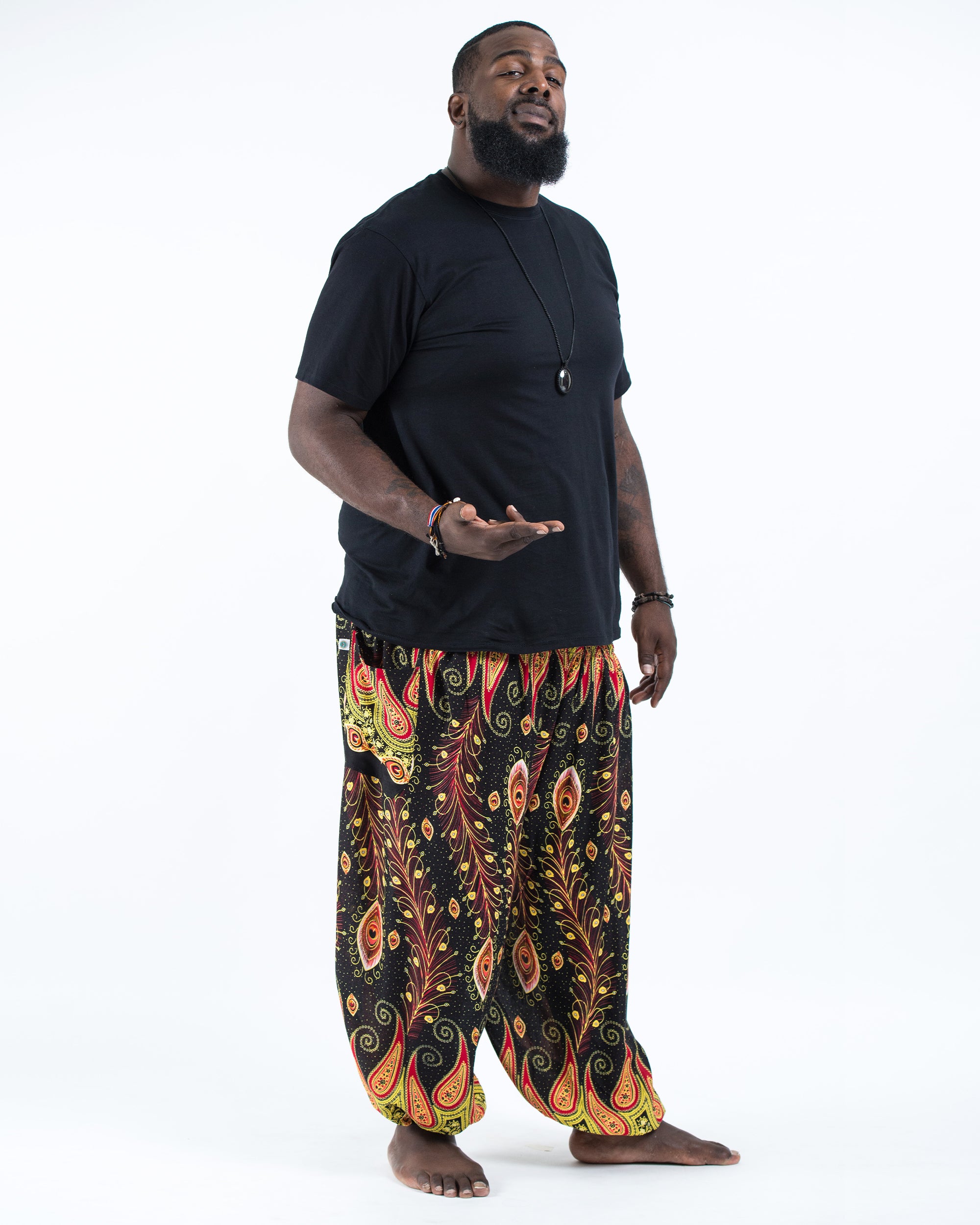 Plus Size Peacock Paisley Men's Harem Pants in Black