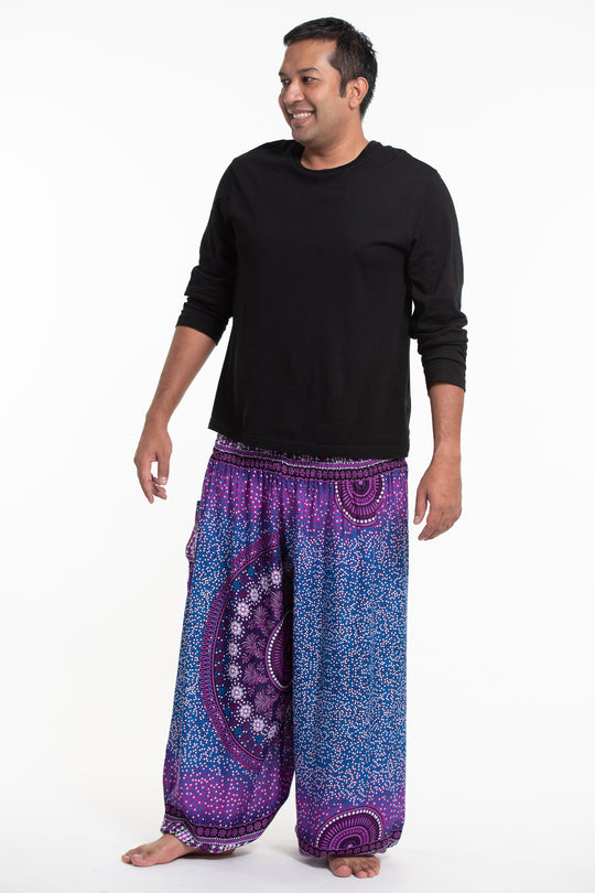 Plus Size Tribal Chakras Men's Harem Pants in Purple