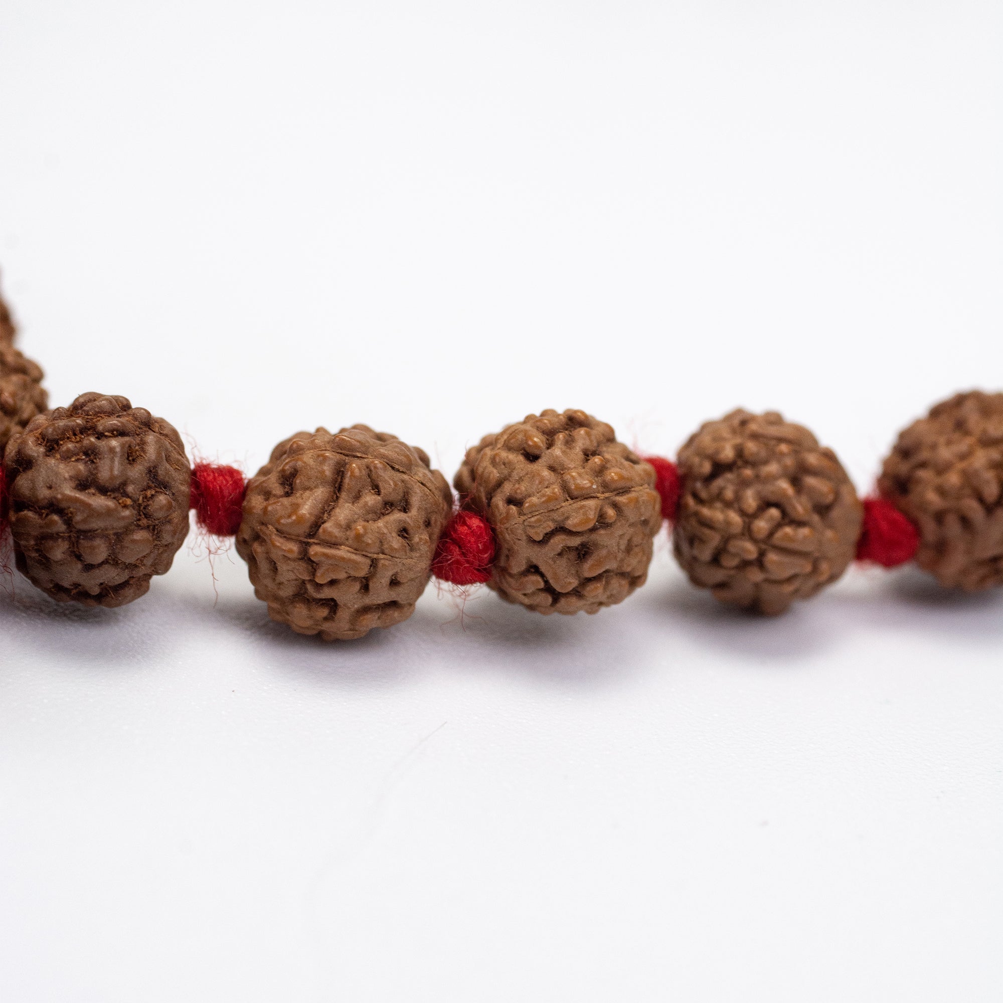 Tibetan Rudraksha Mala in Brown